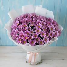 Букет цветов из:  Хризантемы в Ерик