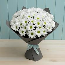 Букет цветов из:  Хризантемы #REPLACE_PRED# Ерик