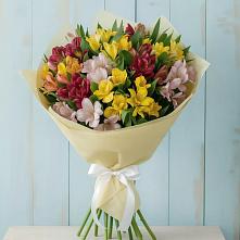Букет цветов из:  Альстромерии #REPLACE_PRED# Ерик
