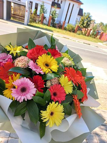 Букет цветов из: Герберы в Ерик