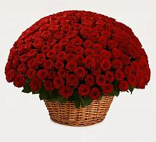 Премиум букет из: Розы в Ерик