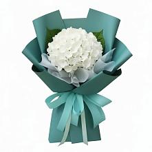 Букет цветов из:  Гортензия в Ерик